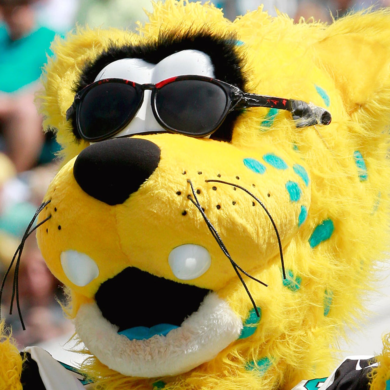IT WAS NATIONAL MASCOT DAY: WATCH PHILLY'S FAVES!
