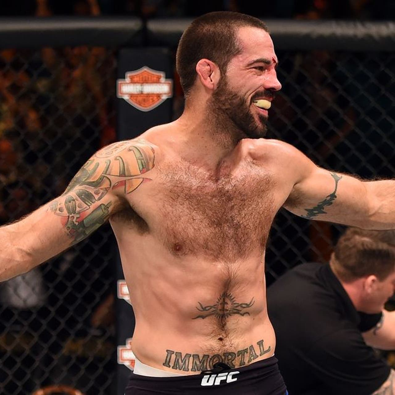 Matt brown ufc