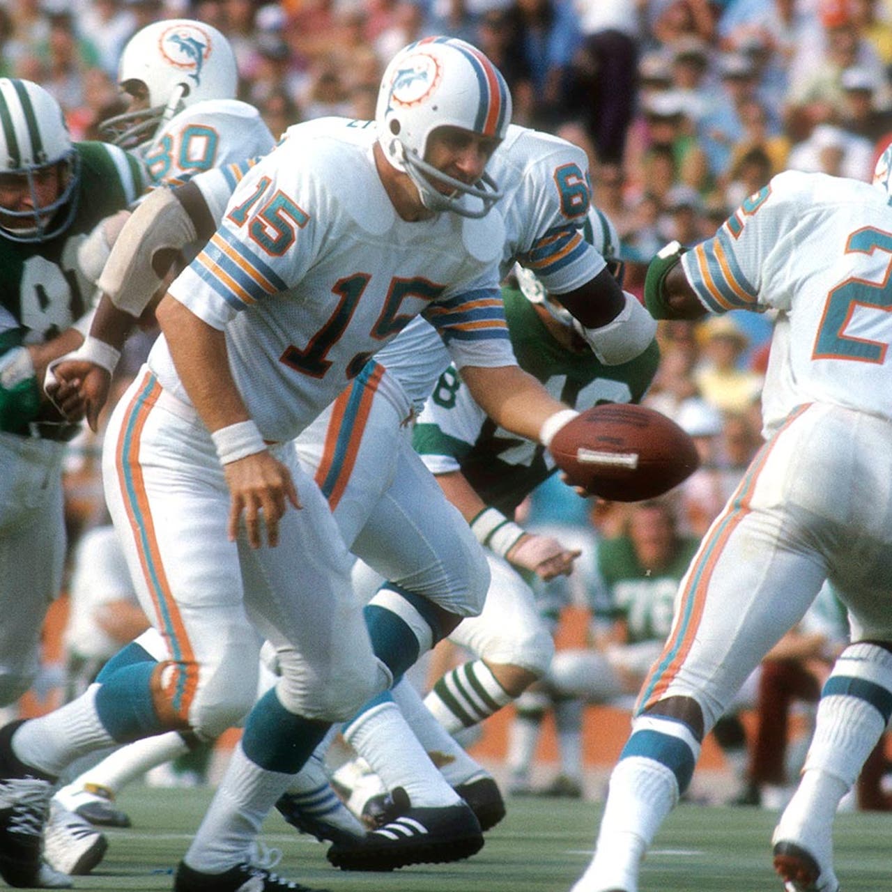 1972 dolphins record