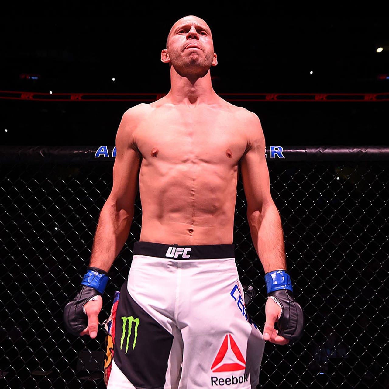 donald cerrone reebok shorts