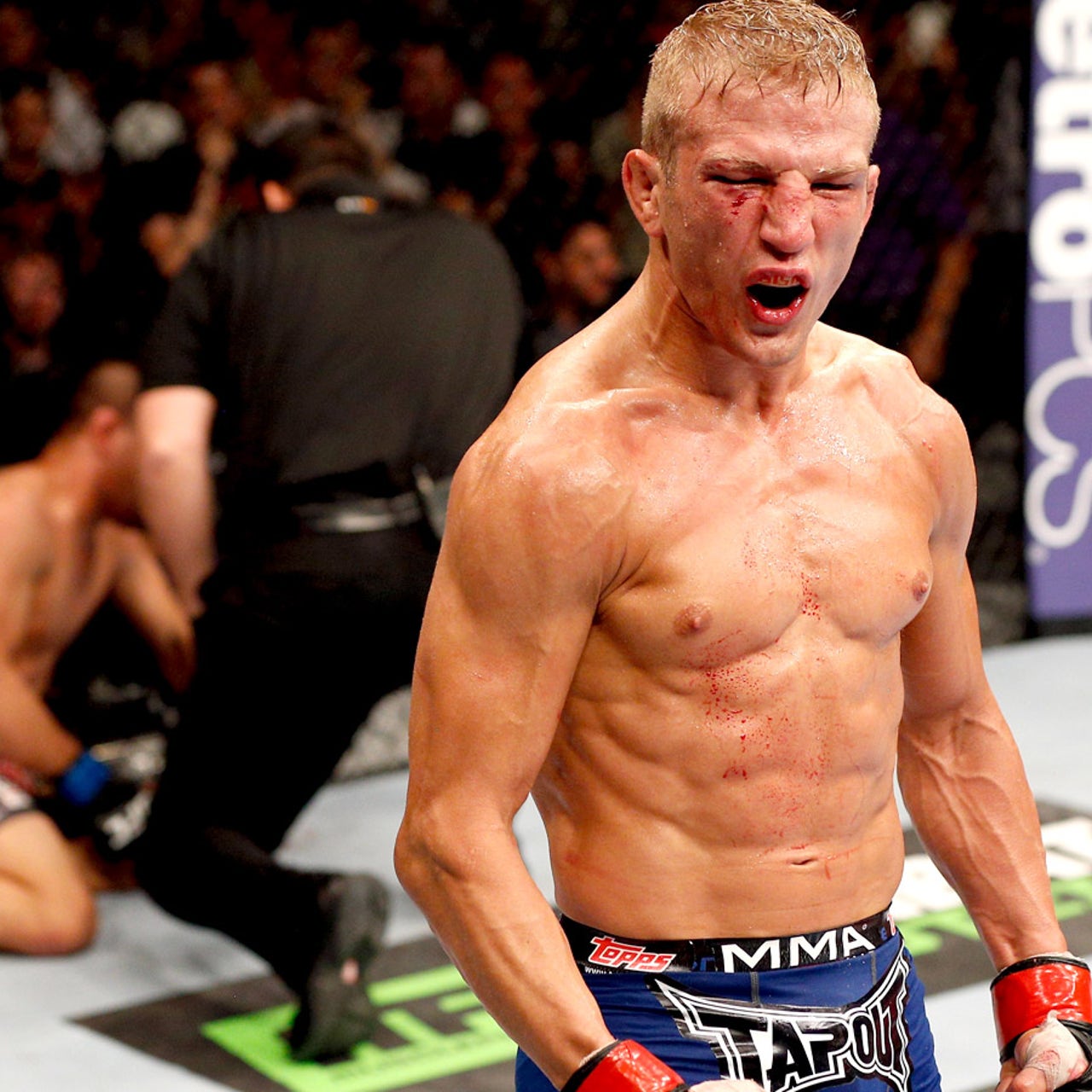 Ufc tj dillashaw top