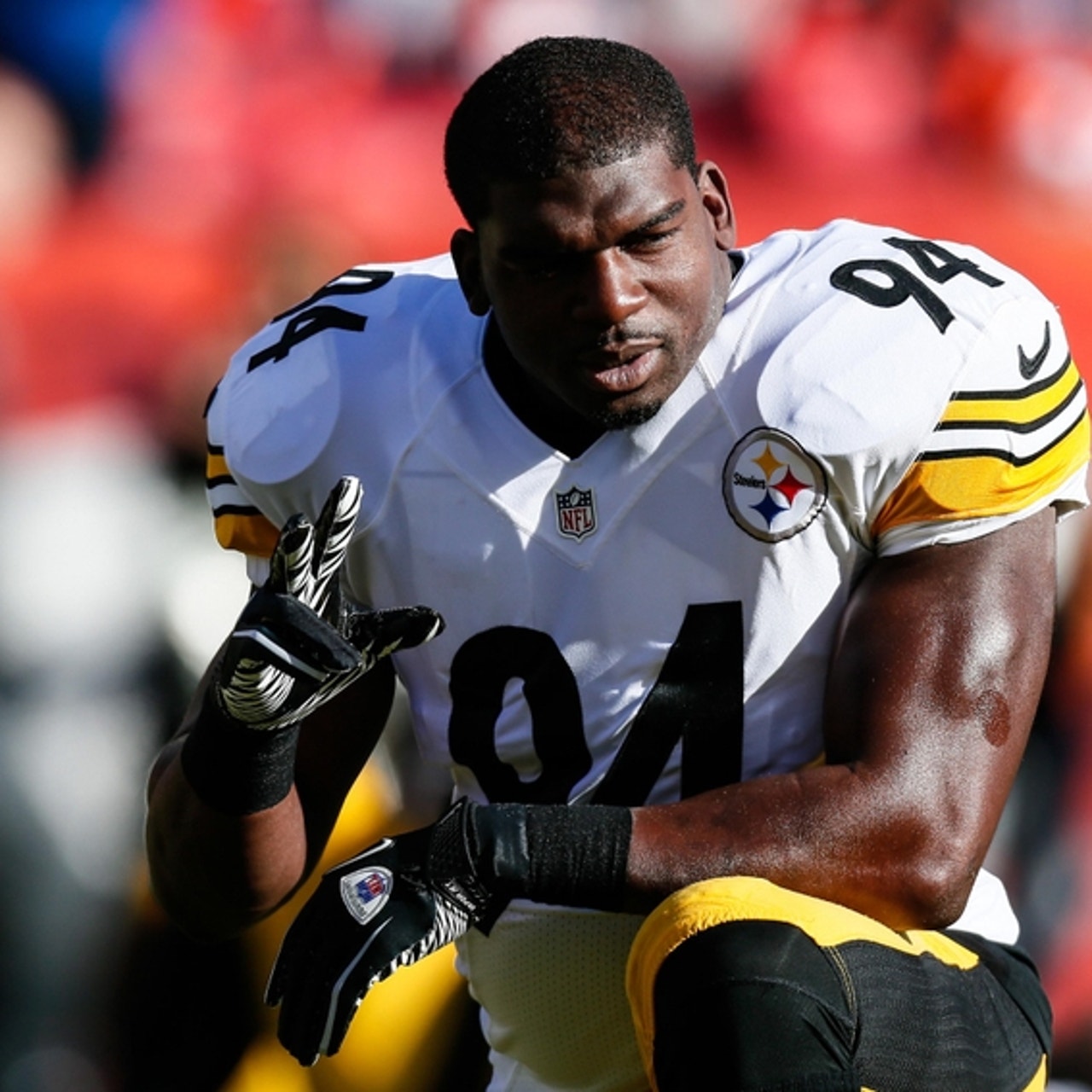 Lawrence Timmons gets sick in end zone vs. Miami (Video)