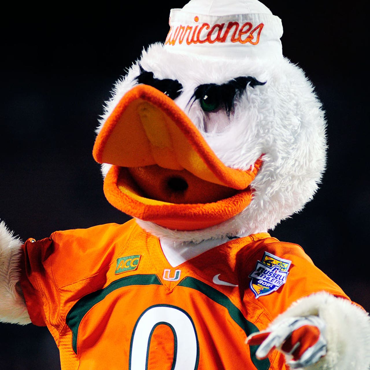 The team's name is depicted in its artistic logo of a forest landscape and silhouette of a wild animal, representing the known lands that inhabit the home state. Miami Hurricanes Mascot : Miami Mascot Leads Group Of Kids In Doing Whip Video Fox Sports