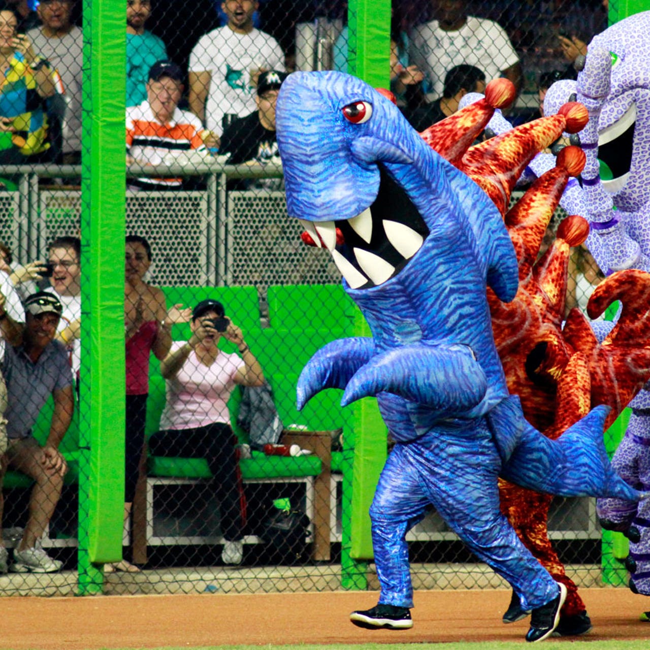 Marlins Fan Sues Club Over Shark Attack By Racing Mascot Fox Sports