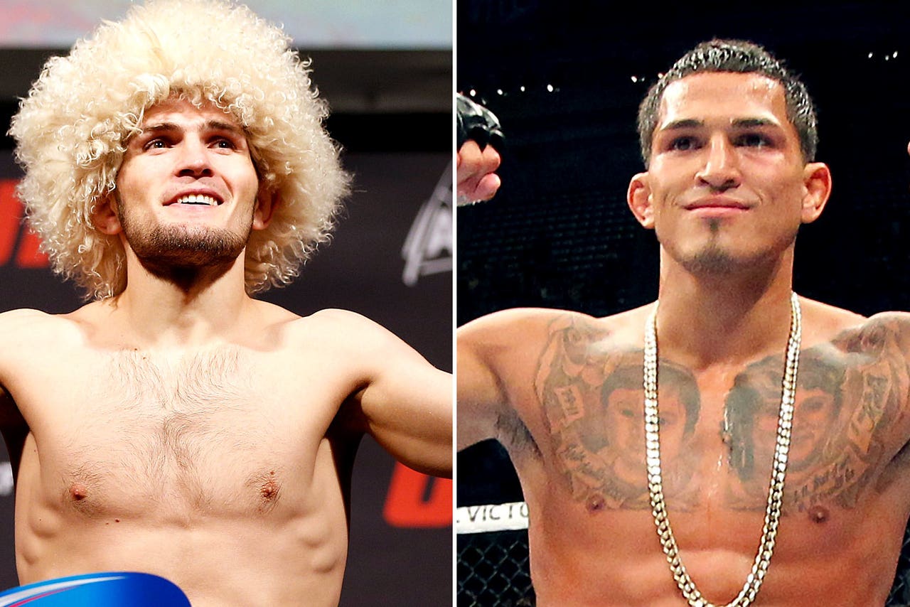 31+ Khabib Nurmagomedov Afro Pics