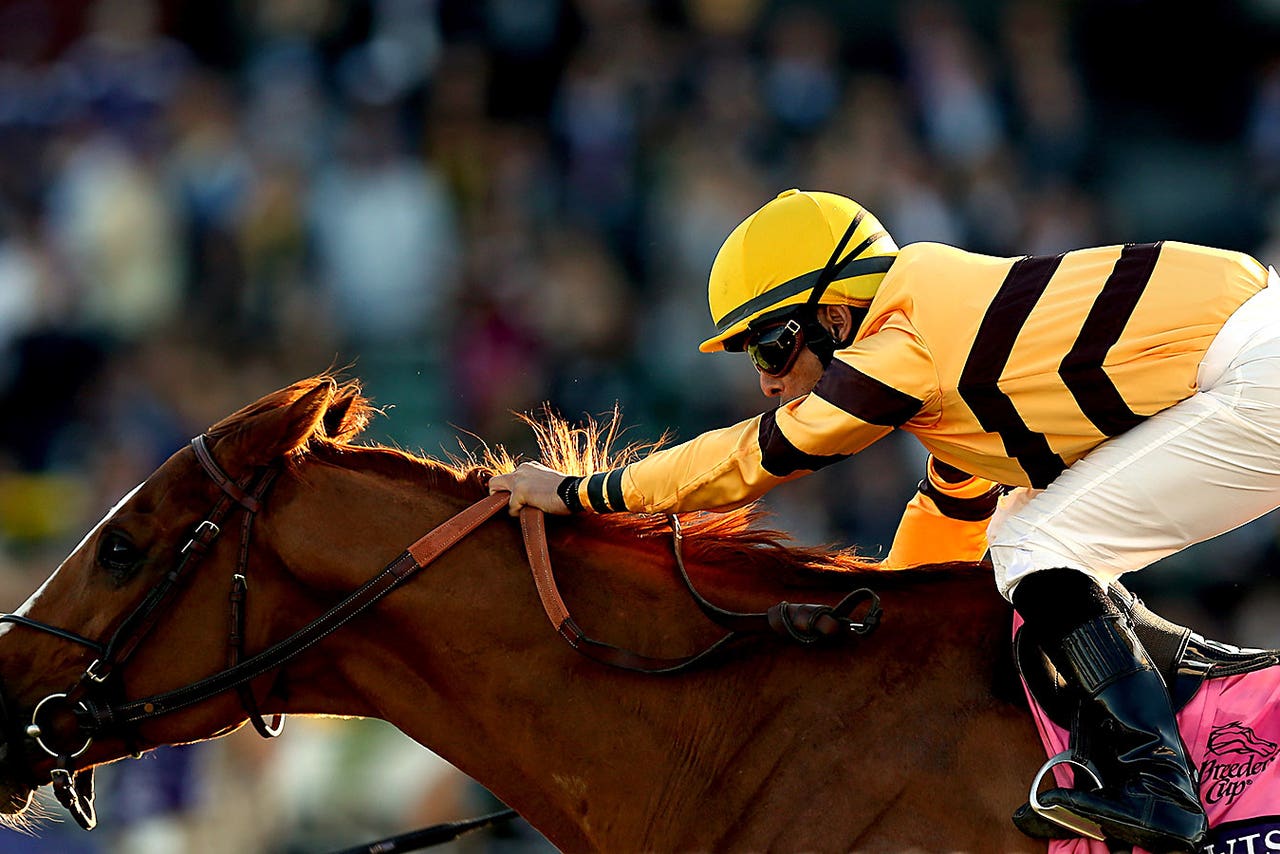 2time Horse of the Year Wise Dan has surgery FOX Sports