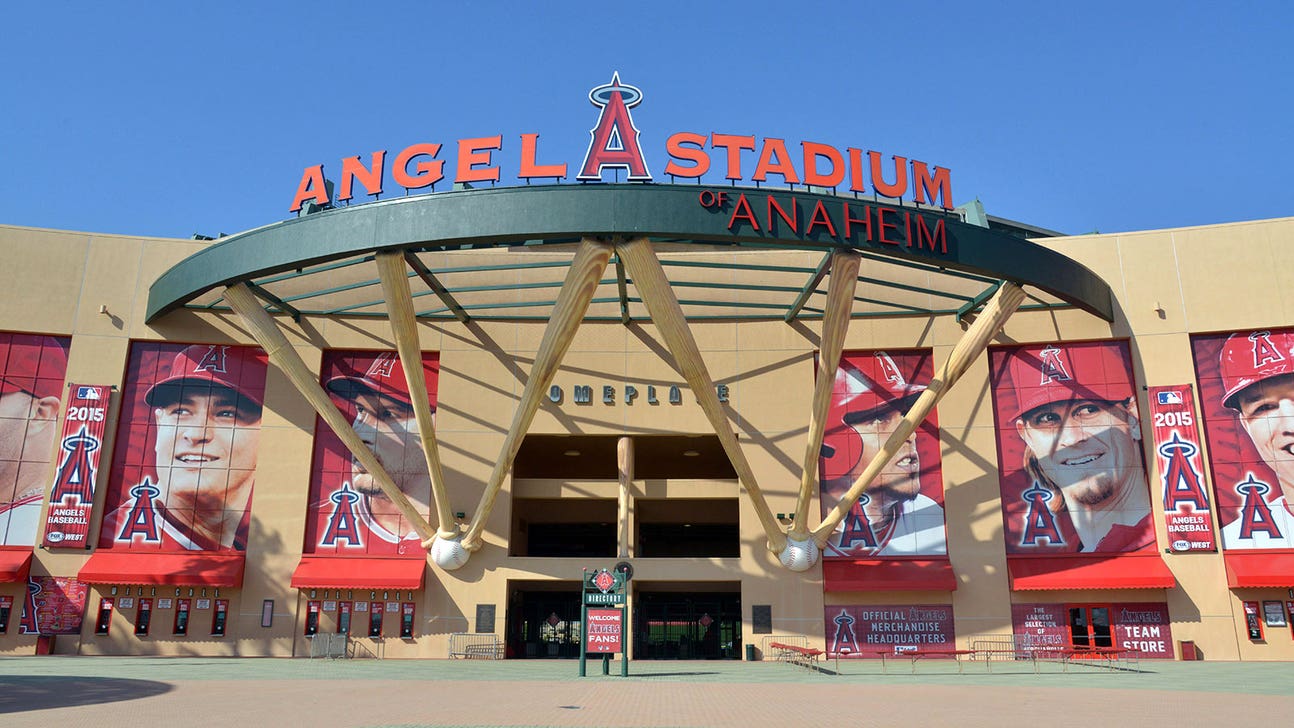 Report: Anaheim out as interim Los Angeles home for NFL teams