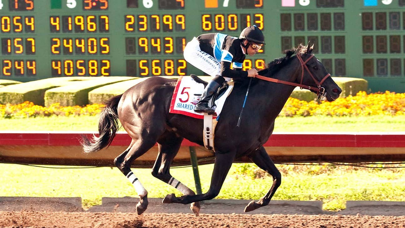 Champion Thoroughbred Shared Belief euthanized due to complications from colic