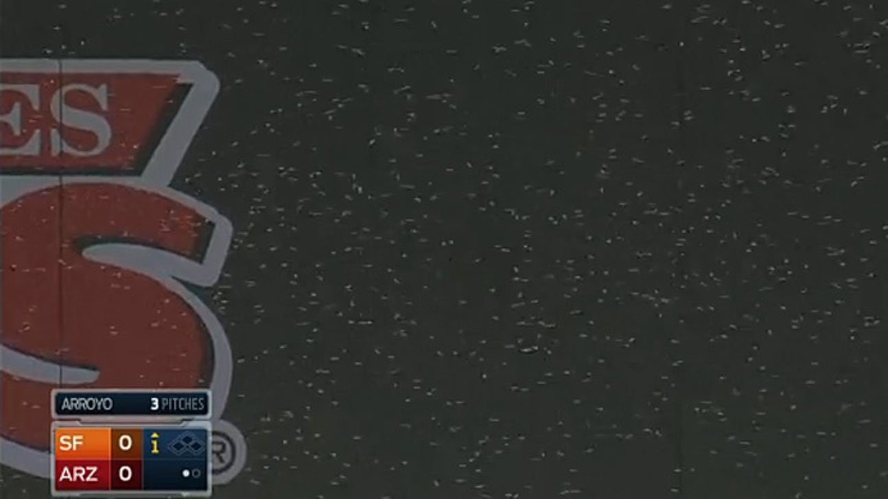 Diamondbacks-Giants game delayed by swarm of bees