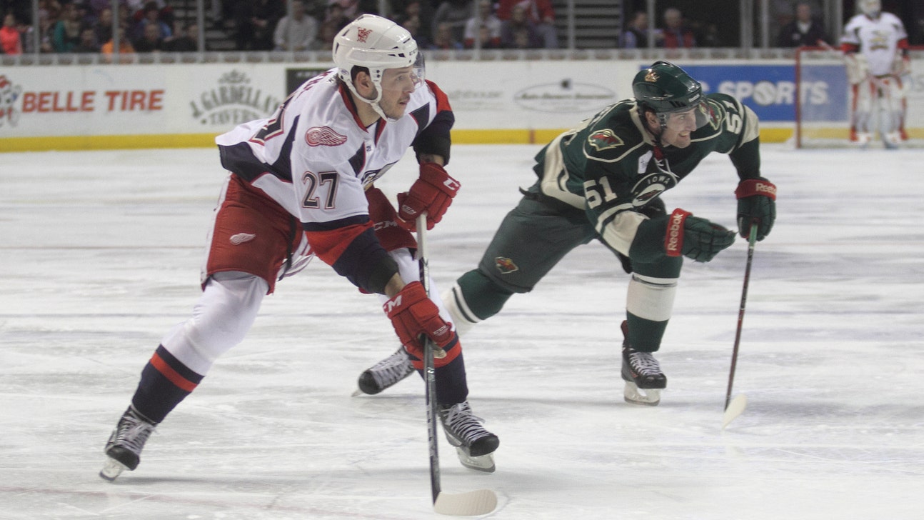 Detroit Red Wings Waivers: Martin Frk Comes Back to Motown