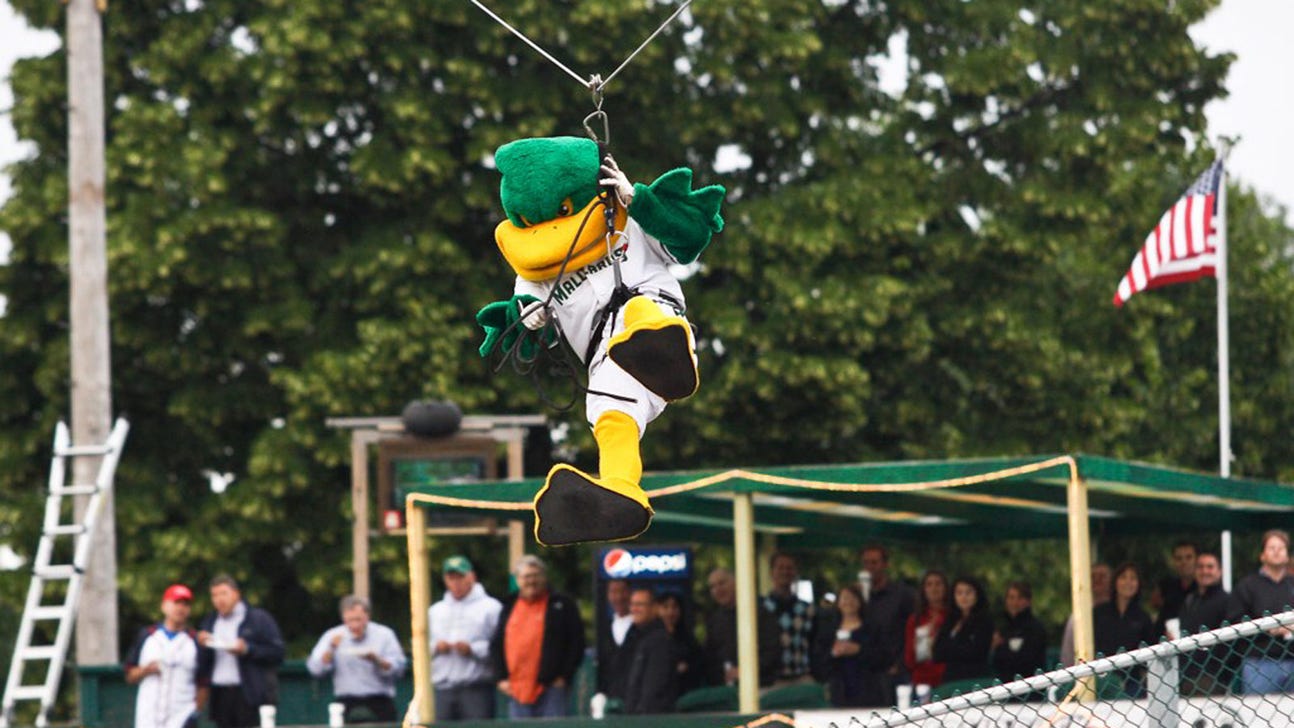 Madison Mallards don't duck away from zany promotions