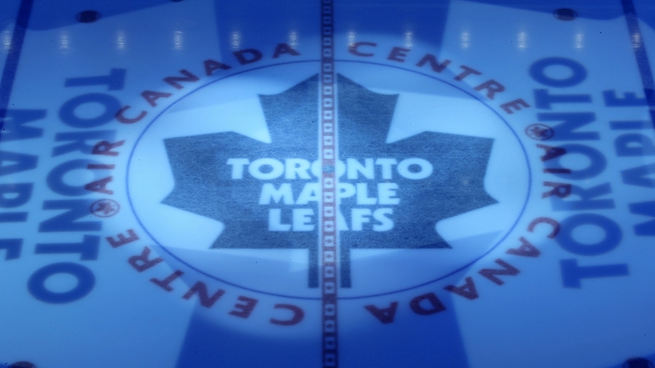 Toronto Maple Leafs Player Preview: Andreas Johnson