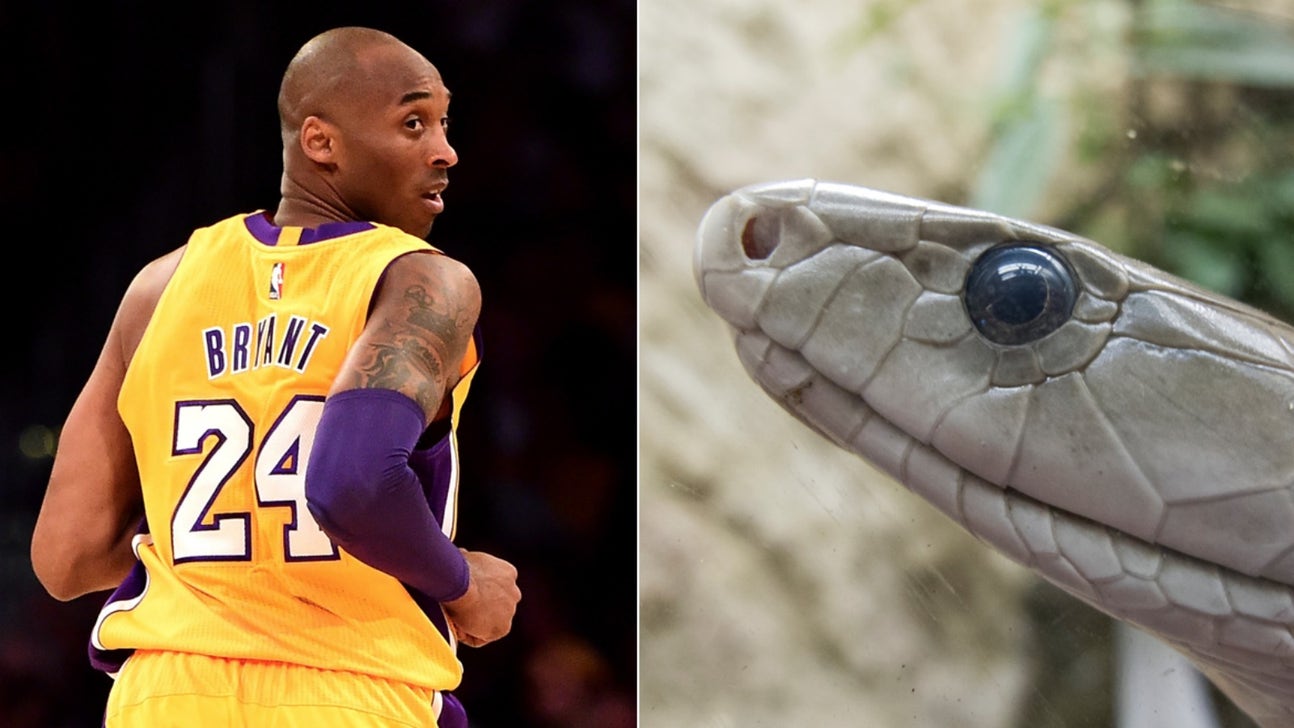 Python Bites Man's Penis While He Goes To Bathroom