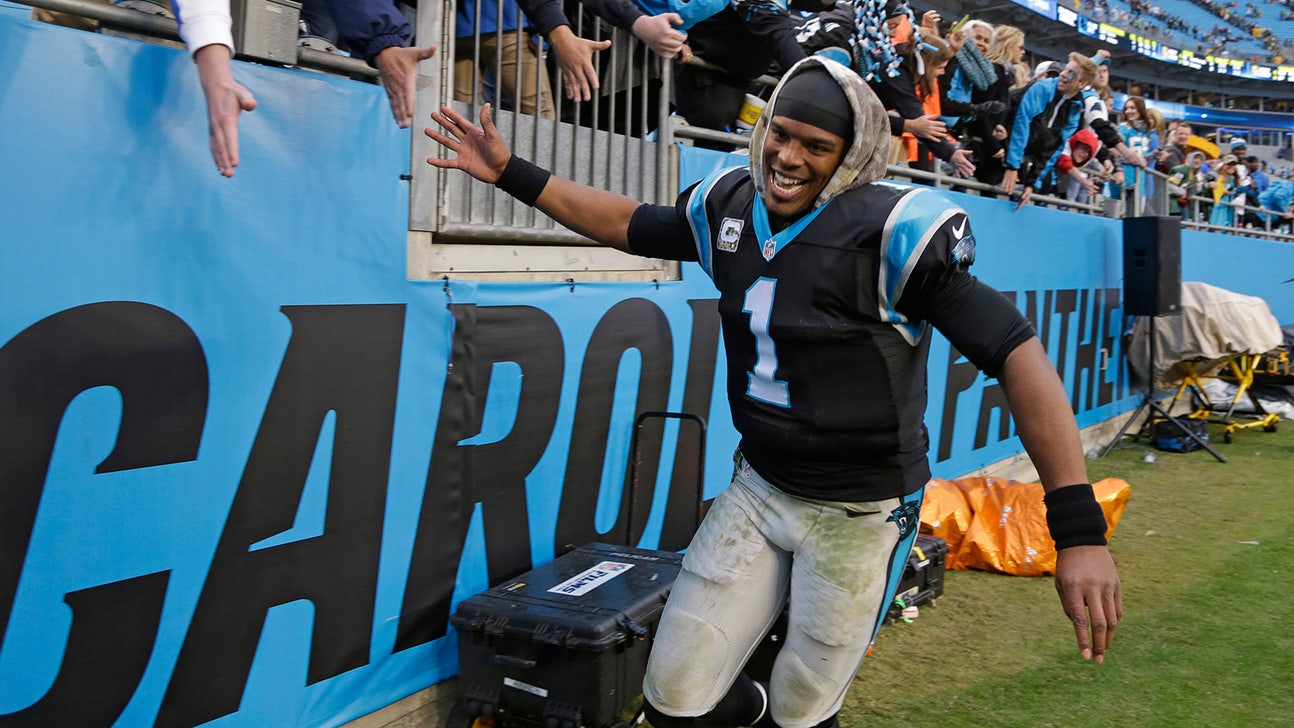 Panthers to replace Packer fan's banner that Newton took