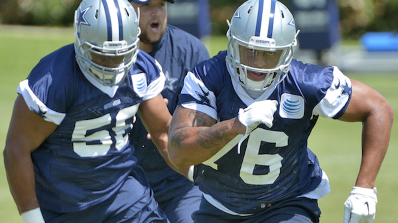 Michael Irvin believes Greg Hardy can become a 2015 Charles Haley