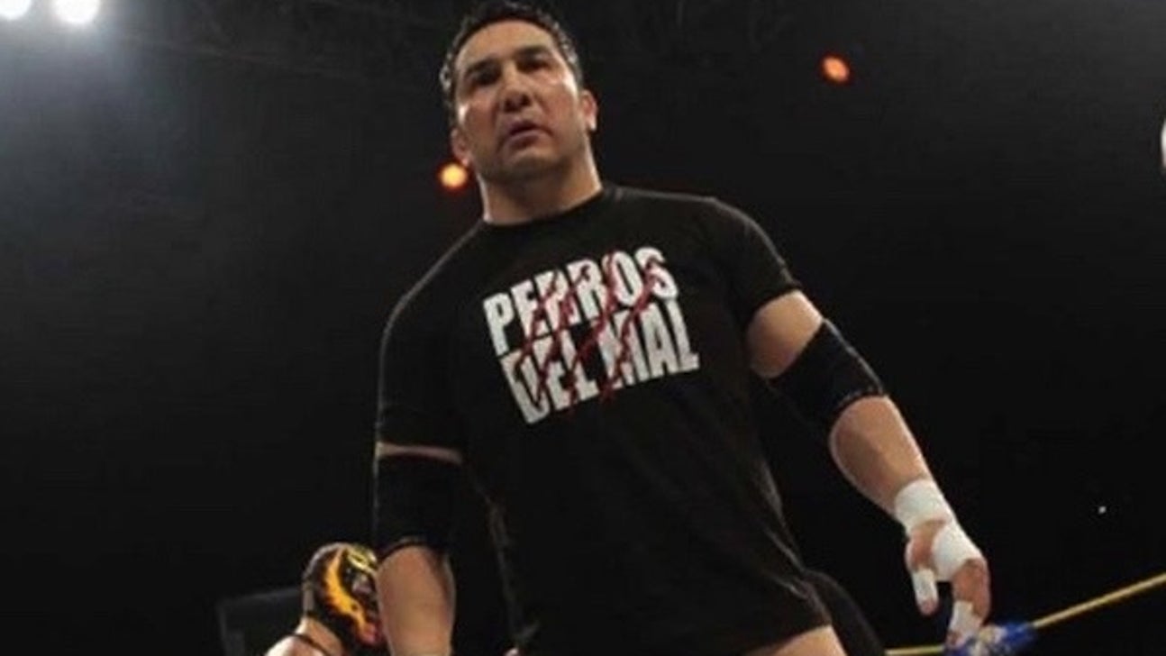Wrestler Perro Aguayo Jr. dies during match with Rey Mysterio