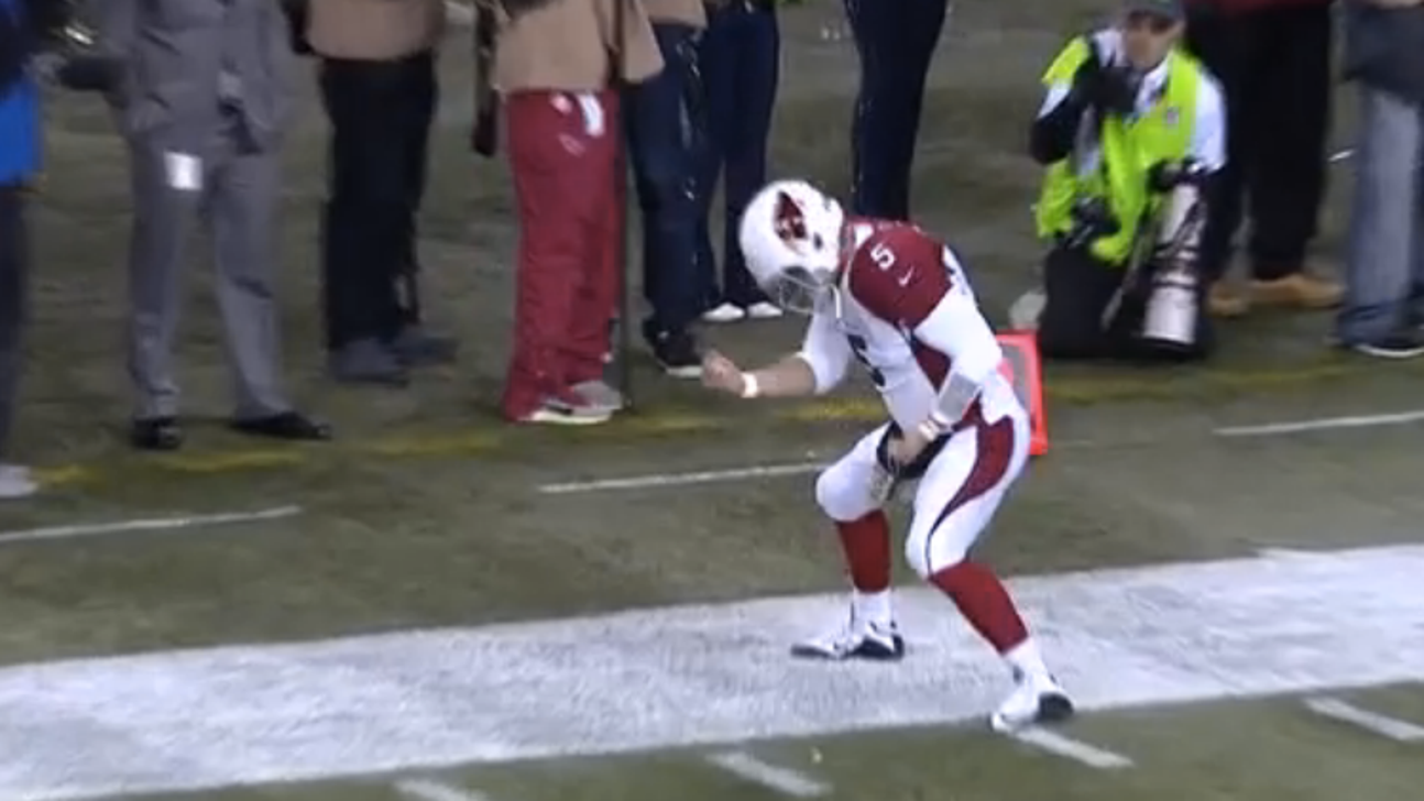Jubilant Cardinals backup QB Drew Stanton unleashes hilarious TD celebration on sideline