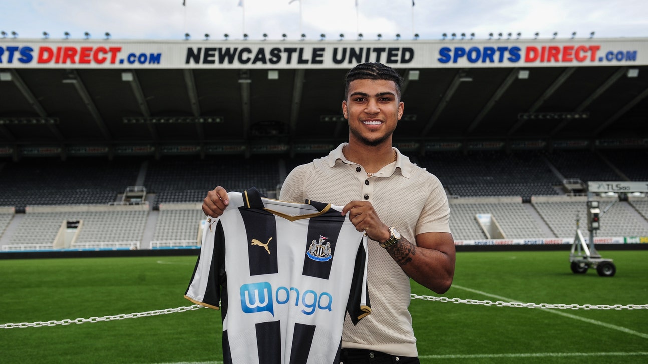 Rafa Benitez's Newcastle United Signings Reviewed