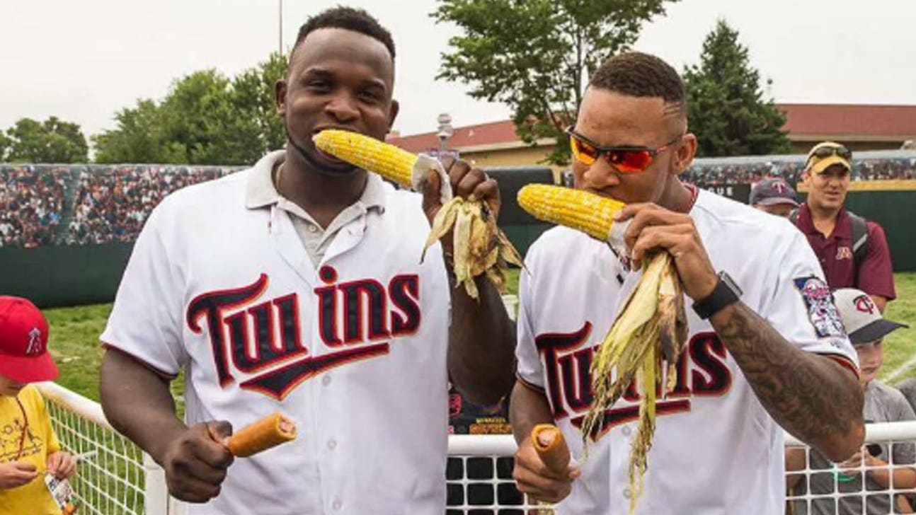 2016 Minnesota Twins Preview & Fantasy Baseball Draft Prep