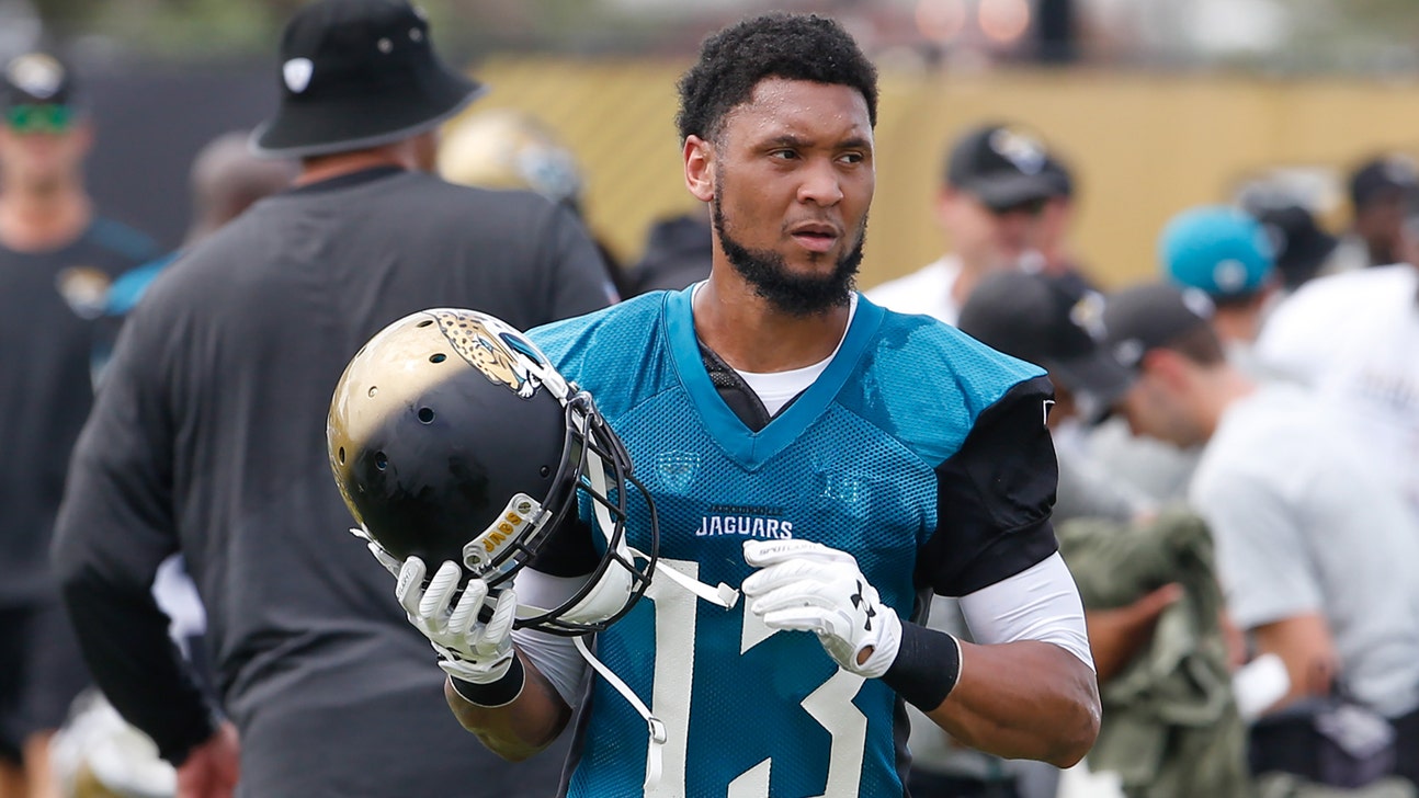 Jaguars place WR Rashad Greene on IR, cut 20 to get down to roster limit
