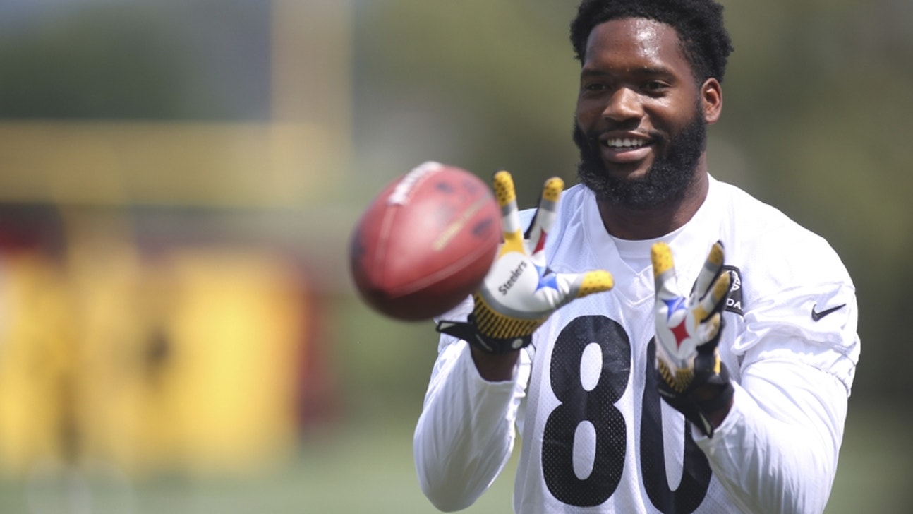 Steelers Player Spotlight: Ladarius Green