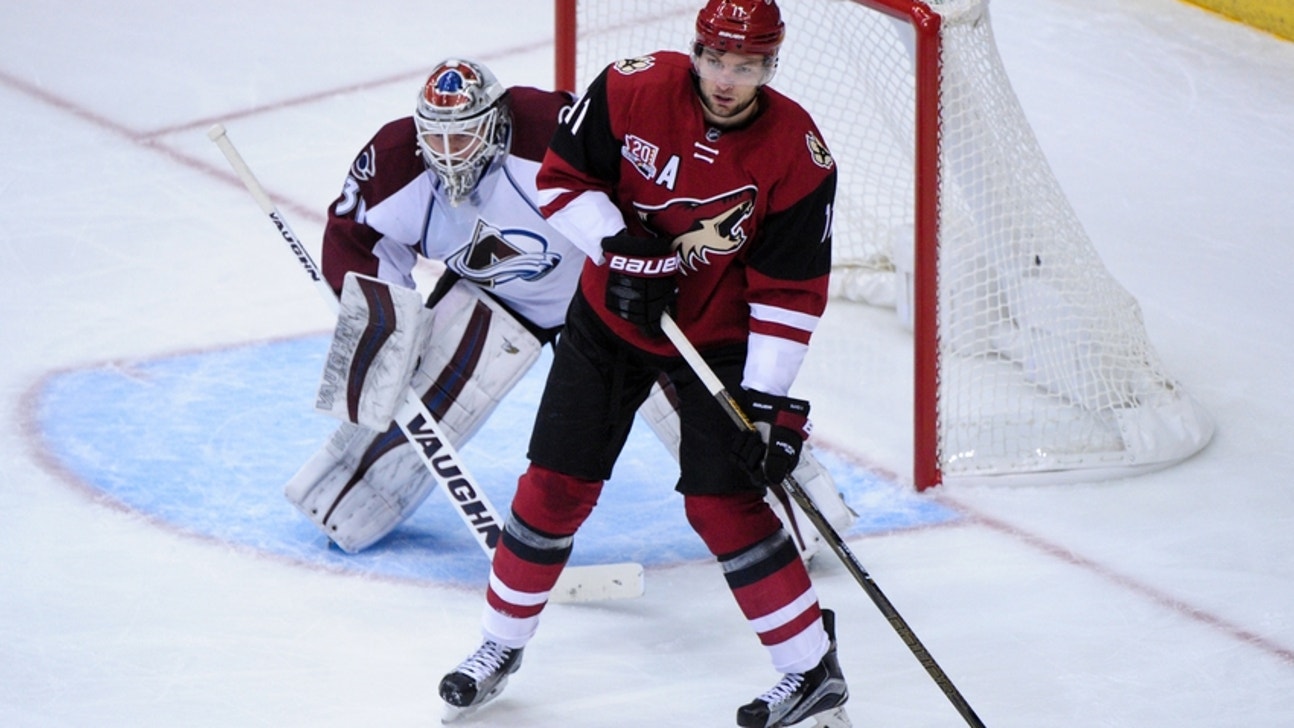 New York Islanders Should Steer Clear of Hanzal