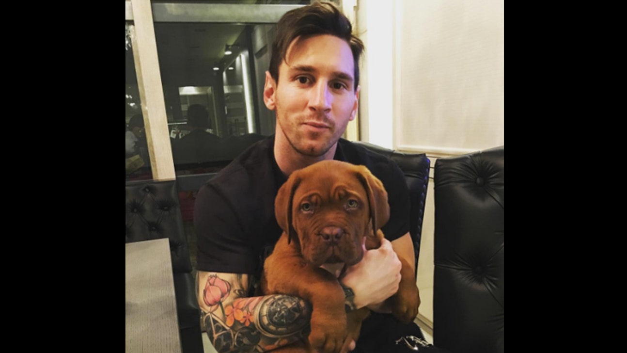 Lionel Messi's puppy has completed his evolution to full-on behemoth