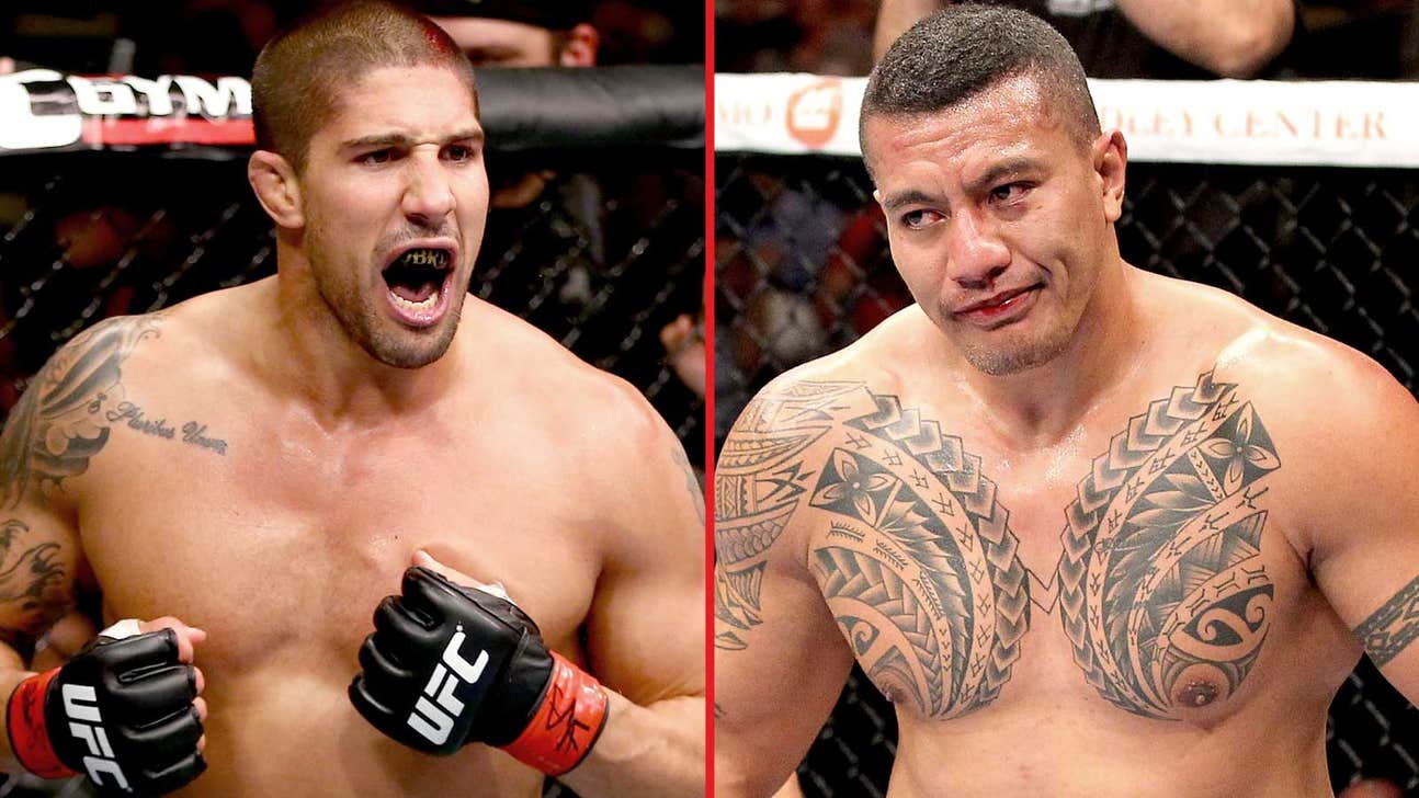 Brendan Schaub wants Soa Palelei at UFC 171 in Dallas