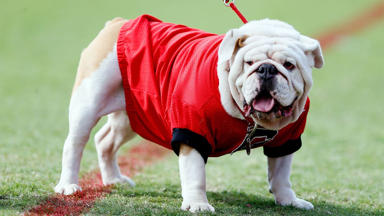 Dawg Pound: Browns getting dog mascot 'Swagger'