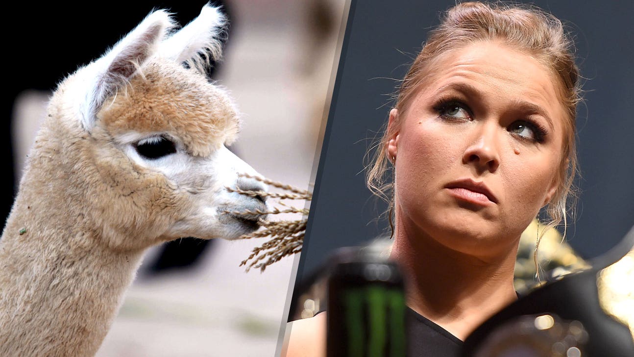 Ronda Rousey has baby llama named after her in Brazil