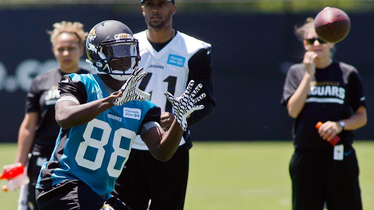 Former UM wideout Allen Hurns making most of shot with Jaguars