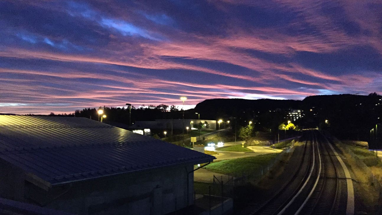 You are all beautiful creatures