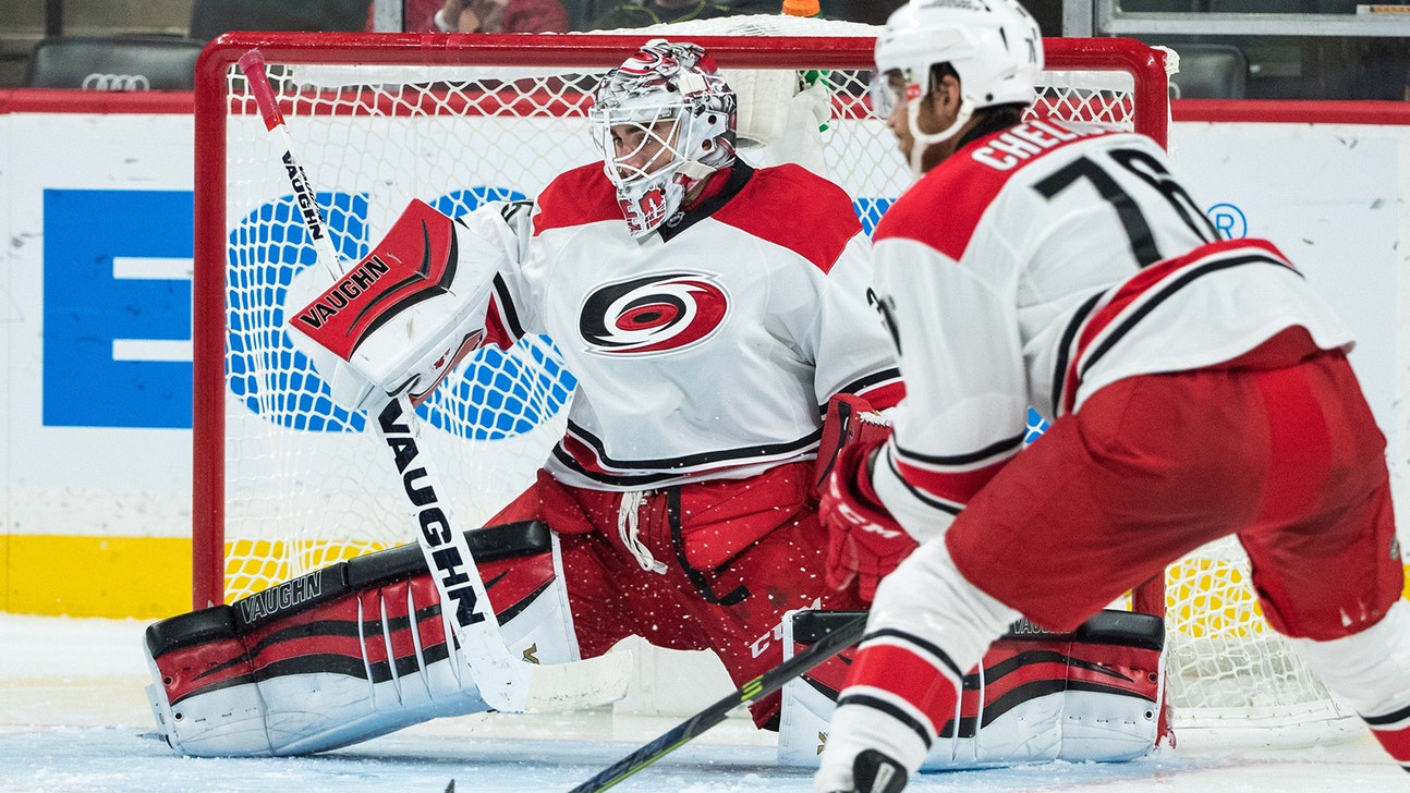 Hurricanes goalie Alex Nedeljkovic makes NHL debut in home state