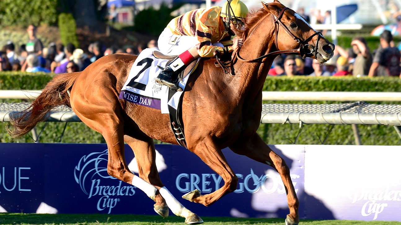 Wise Dan injures ankle, won't defend Breeders' Cup Mile championship