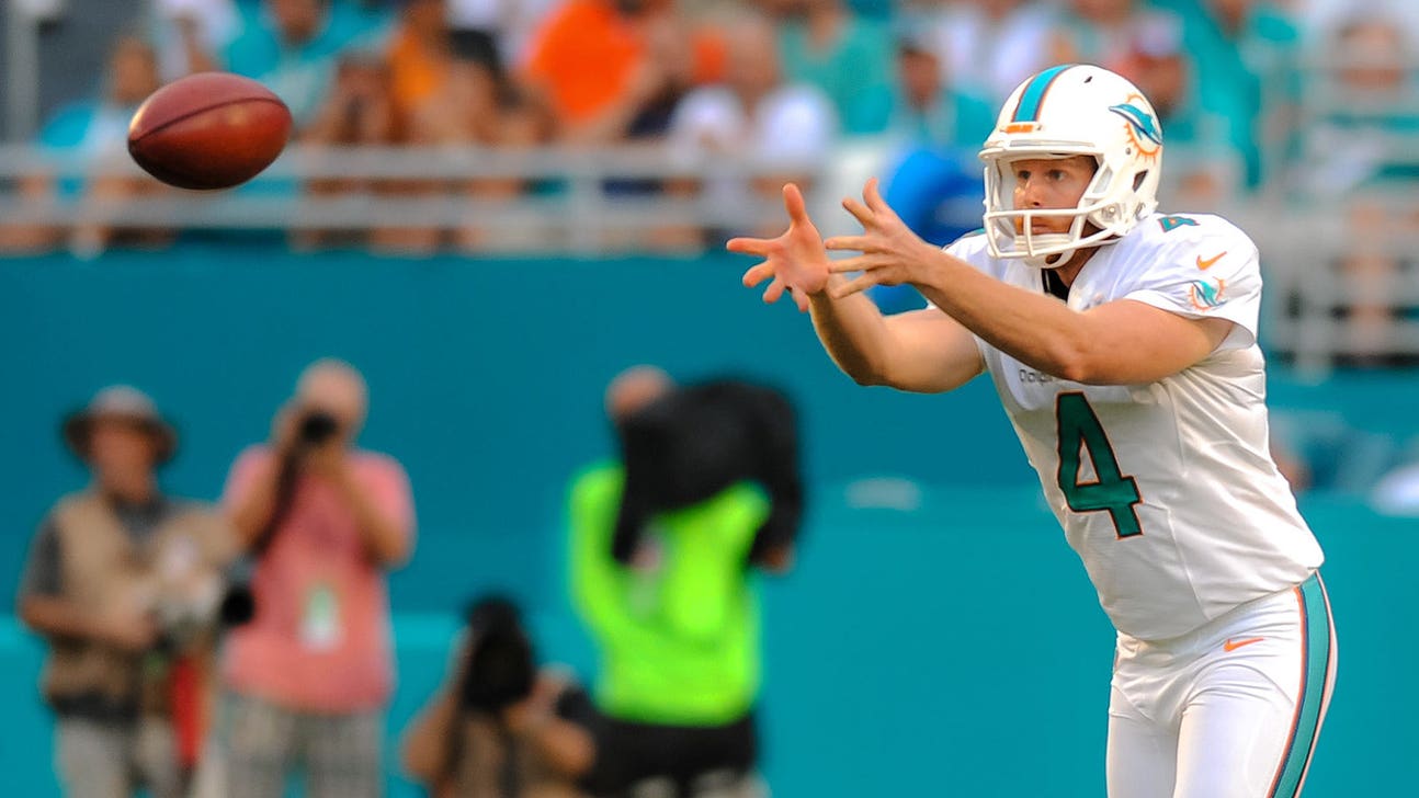 Dolphins P Matt Darr named to All-Rookie team