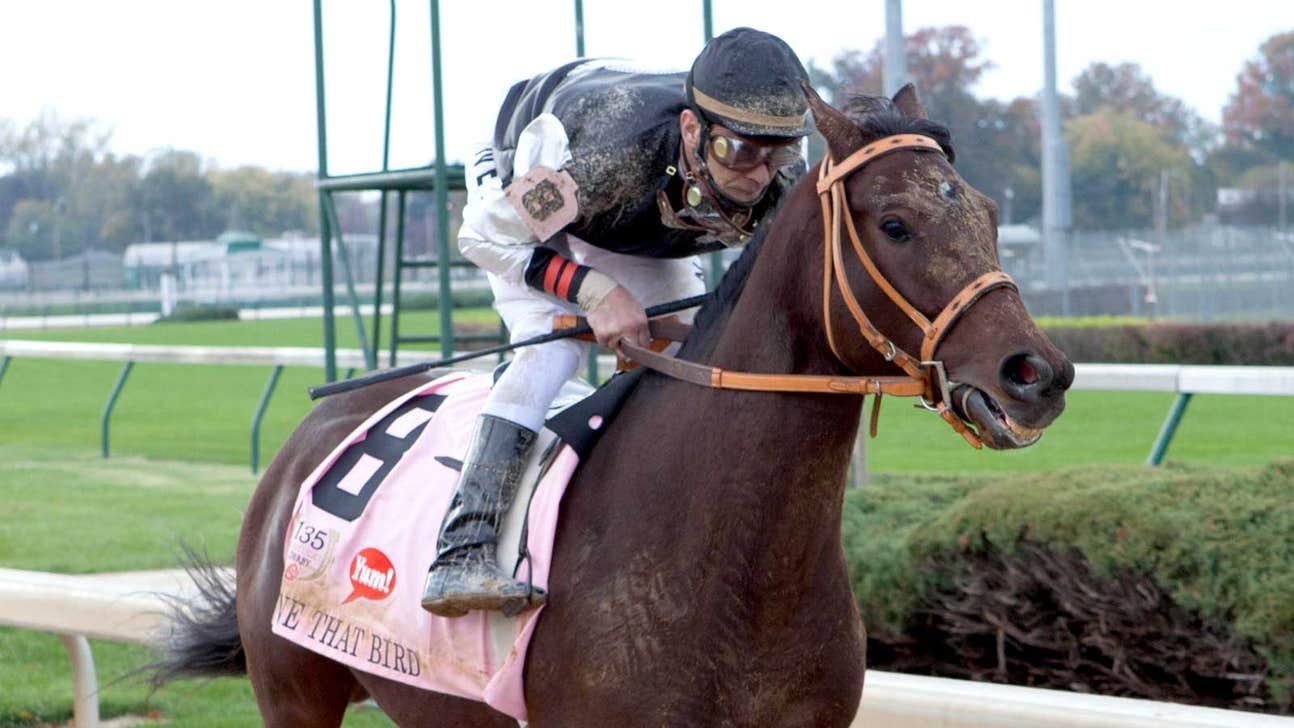 '50-1' follows Derby journey of Mine That Bird