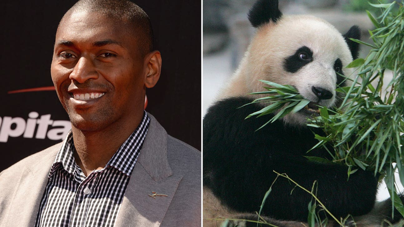 Wait, is that Metta World Peace dressed as panda at street league game?
