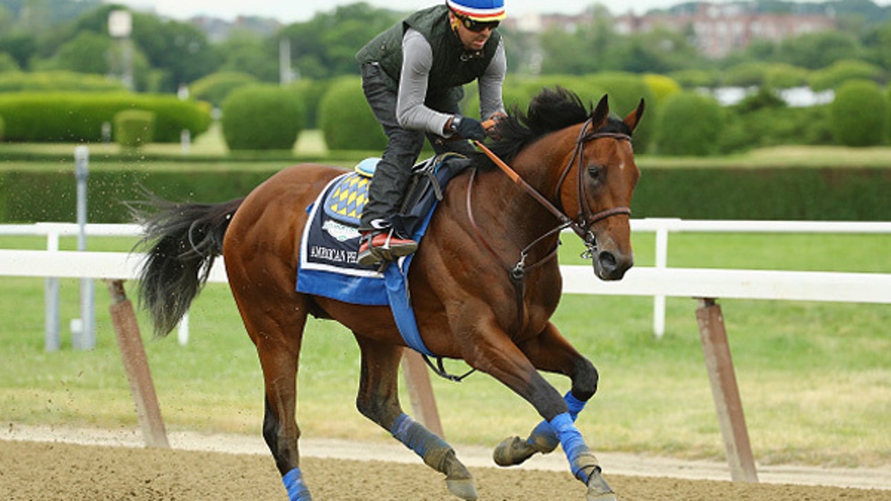 American Pharoah takes final gallop before Belmont Stakes