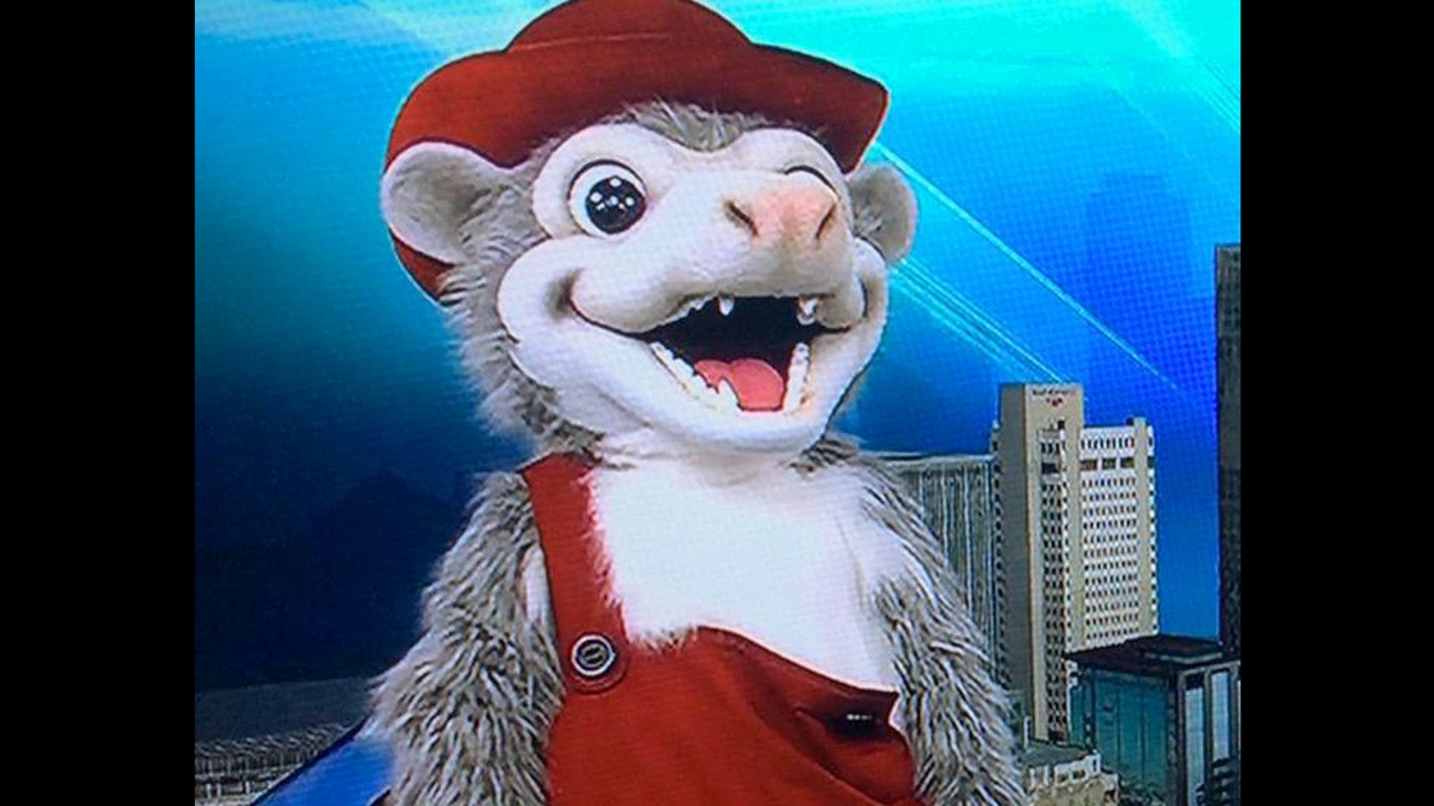 Minor-league team's new possum mascot gnaws Arkansans