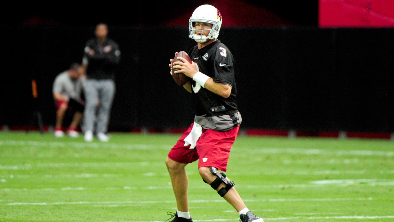 Arizona Cardinals preview (No. 9): A healthy Palmer will pay dividends