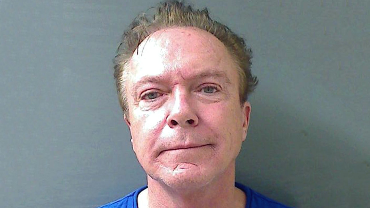 Horse racing tweet trips up David Cassidy's plea deal