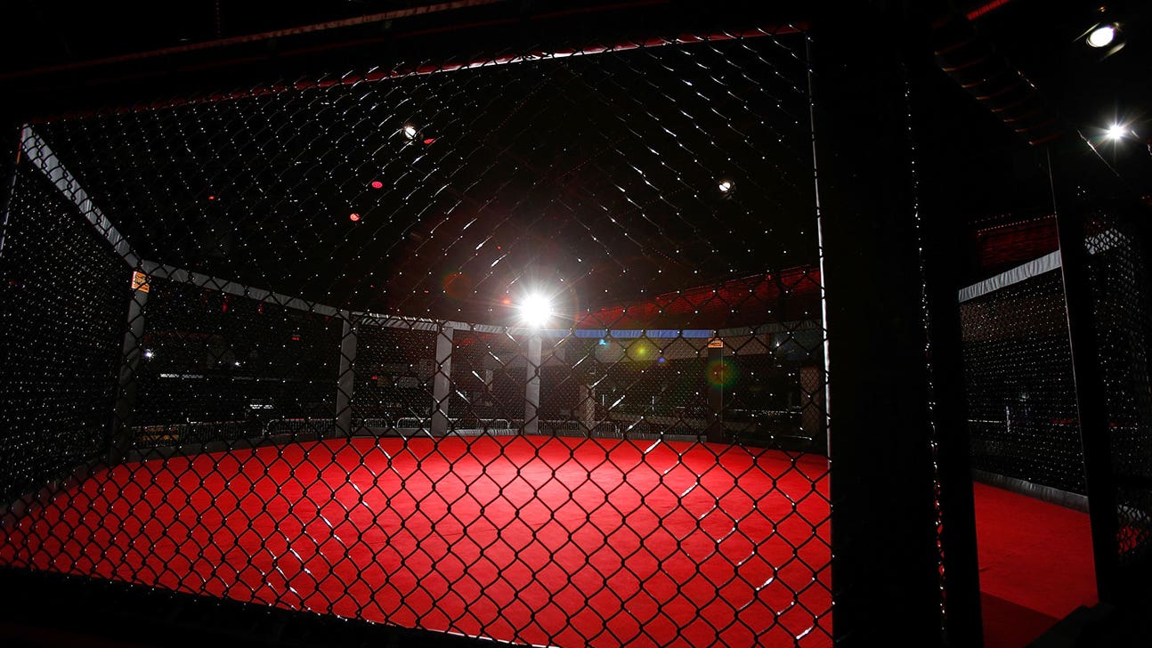 Is the UFC ready for an openly gay male fighter?