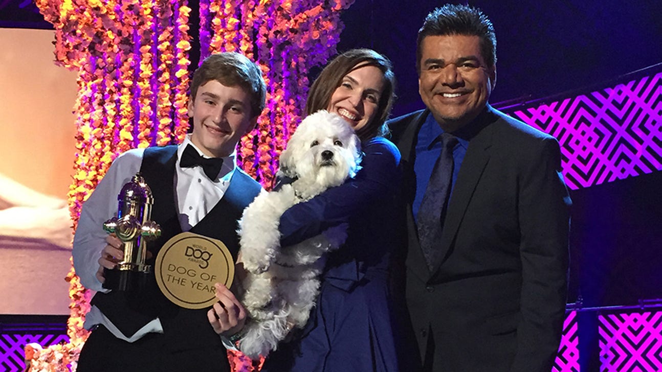 Brewers' ballpark pup Hank wins Dog of Year award