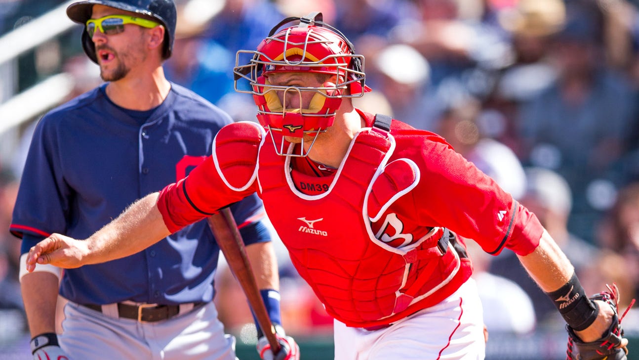 Reds recall Barnhart from Louisville, Mesoraco still out