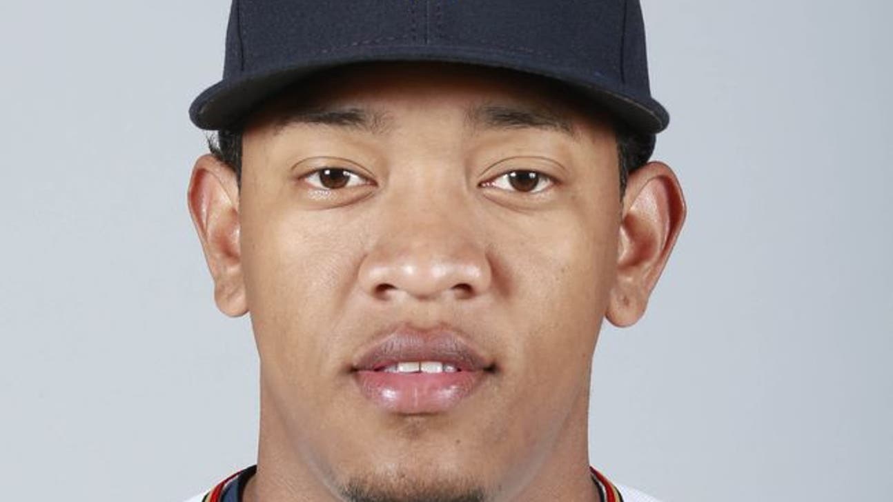 Minnesota Twins Prospect Yorman Landa Killed in Car Accident