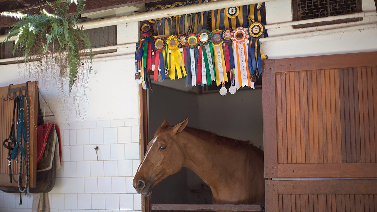 Rio Olympic official: No glanders disease risk at equestrian