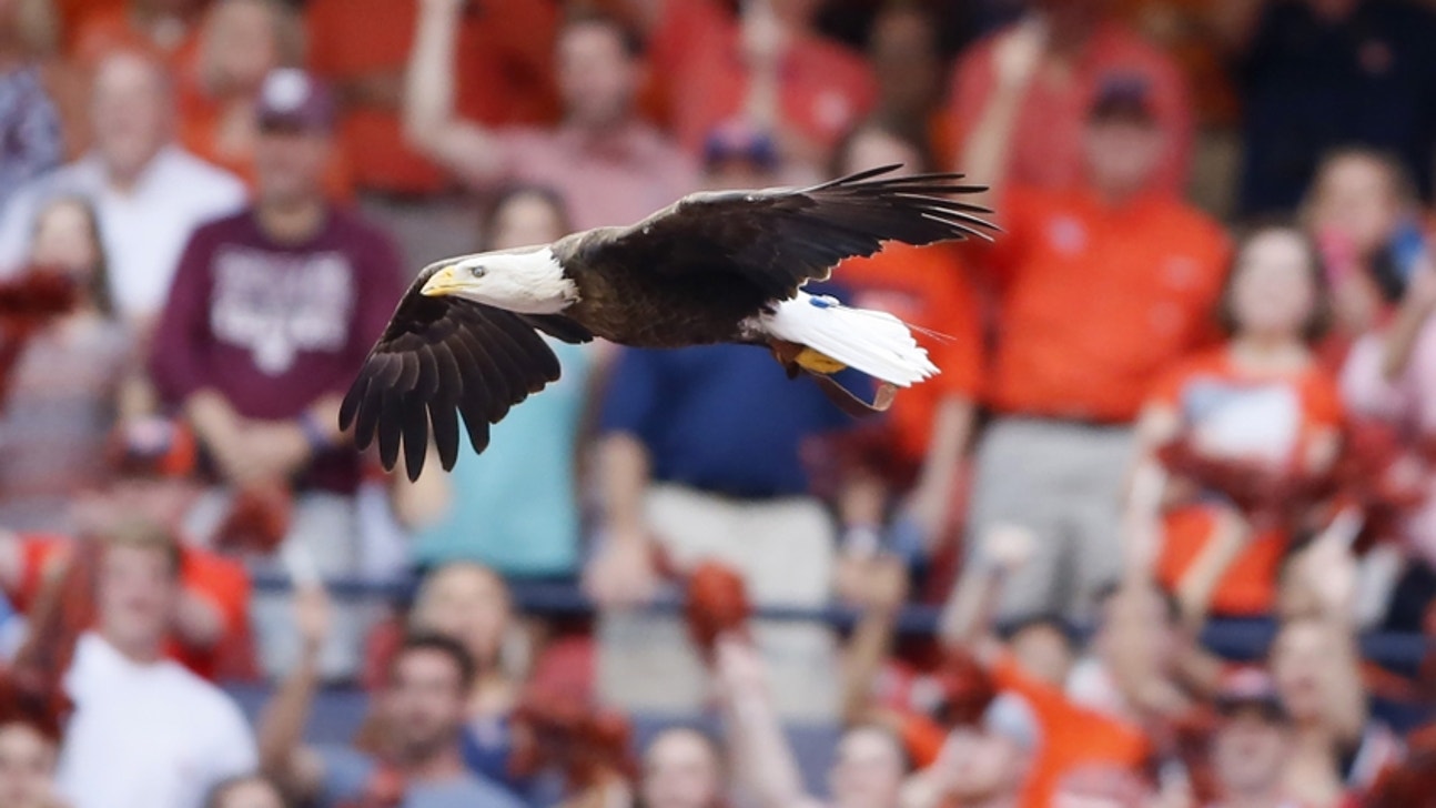 Auburn Football vs. MSU: Q&A with Editor of Maroon & White Nation