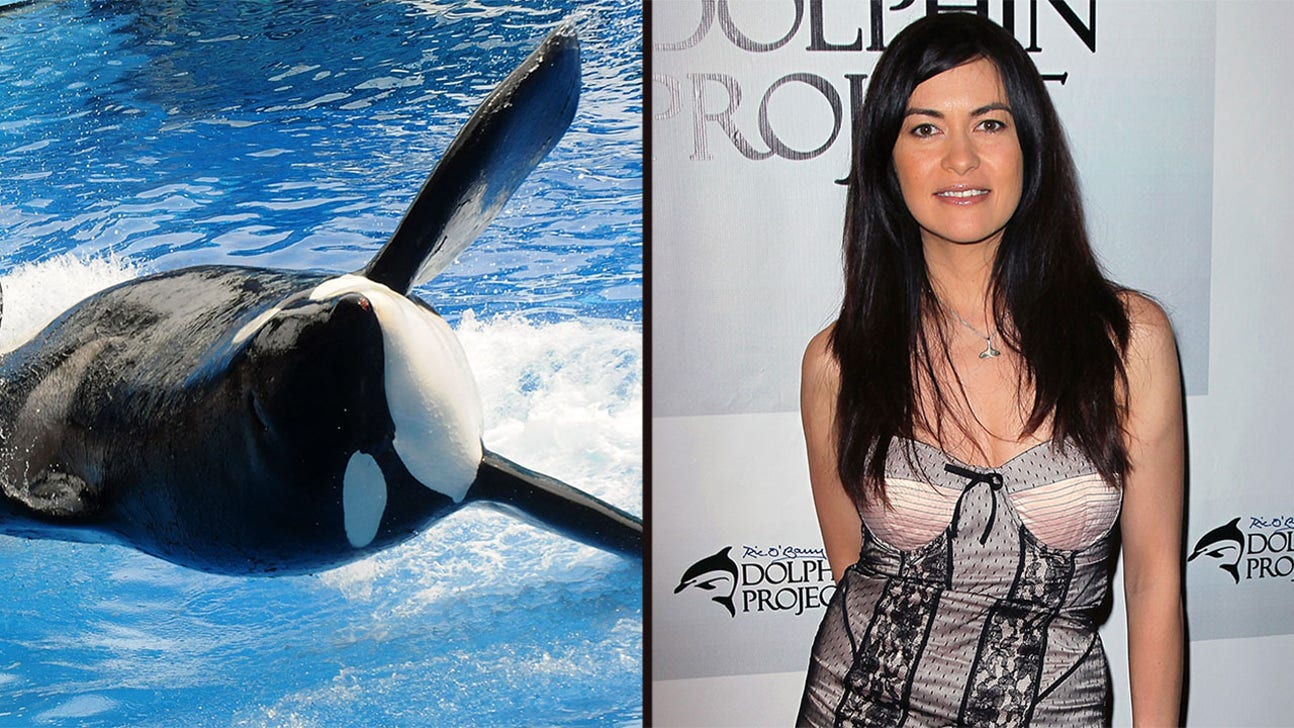 Orca meets ARCA: 'The Simpsons' co-creator is helping Leilani Munter get her 'Blackfish' car to Dega