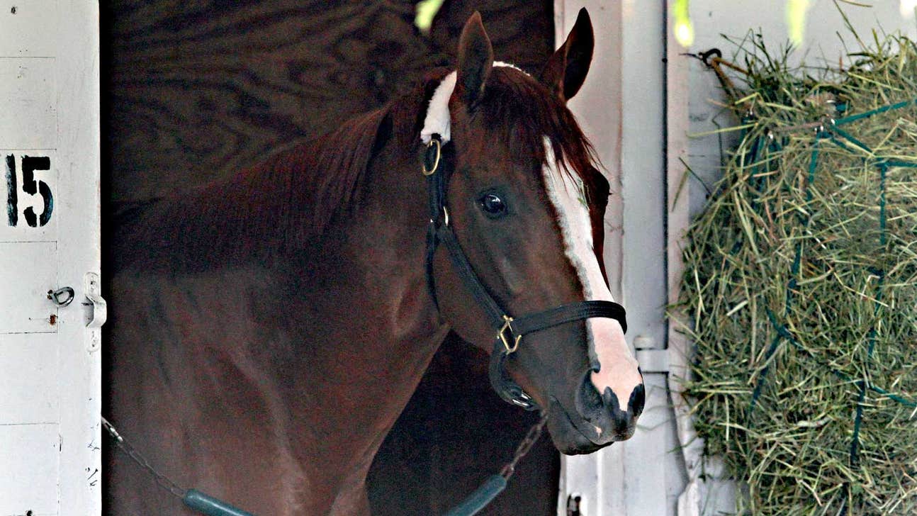 Derby winner California Chrome center of attention at Churchill Downs