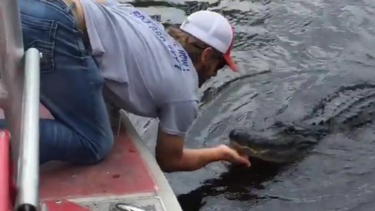 PGA Tour player freaks out watching a guy feed marshmallows to an alligator